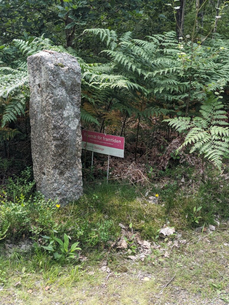Eine Steinstele auf Moos, von Farn umgeben, dahinter ist ein Schild mit der Aufschrift 'Fiberät för framtiden' zu erkennen, darunter 'Det här huset far supersnabbt bredband', darunter ein Firmenname.