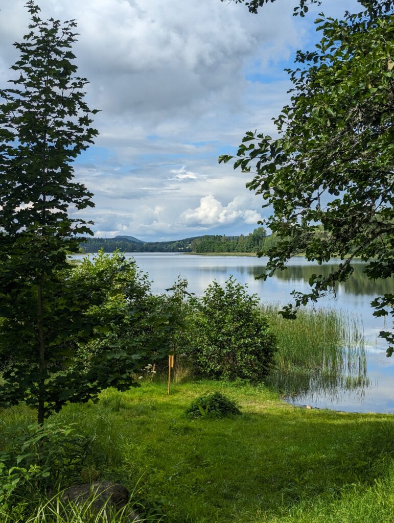 Blick durch Bäume auf eine kleine Wiese, die in einem See mündet, der See im Hintergrund